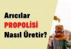 Propolis Nedir, Nasıl Üretilir? Faydaları, İçeriği ve Üretim Teknikleri
