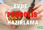 Evde Propolis Hazırlama?