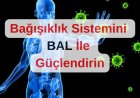 Balın  Bağışıklık Sistemine Etkisi