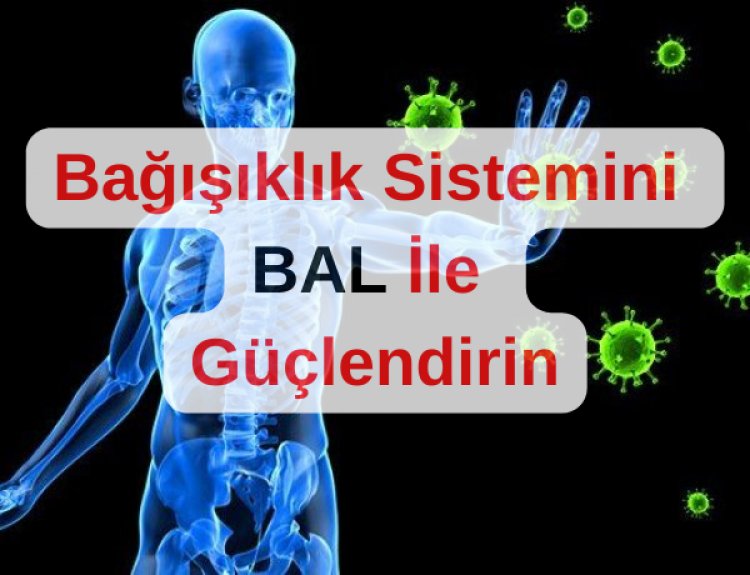 Balın  Bağışıklık Sistemine Etkisi