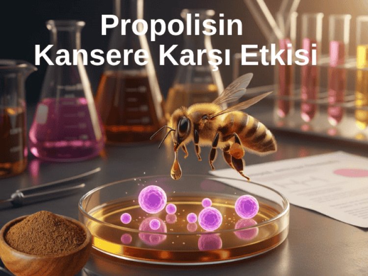 propolisin kansere faydaları