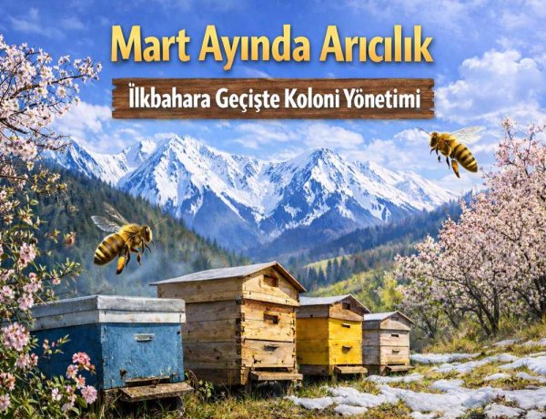 Mart Ayı Arıcılık İşleri