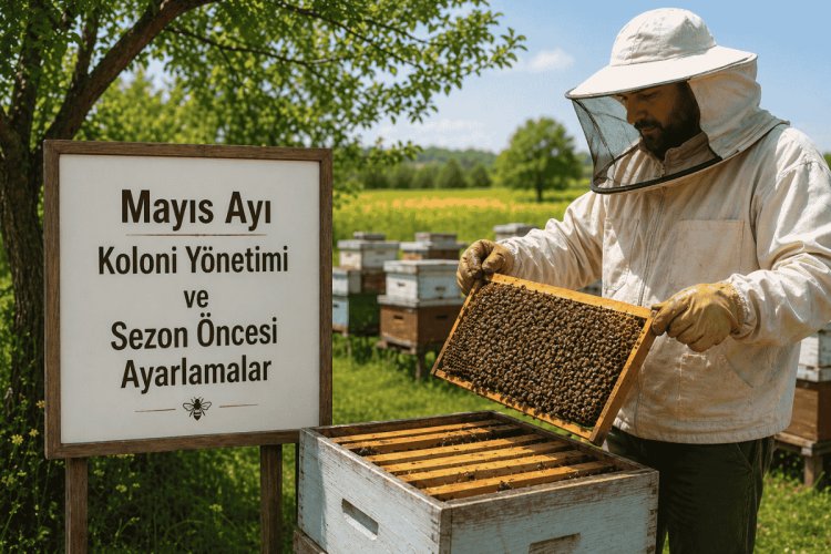 mayıs ayında arıcılık